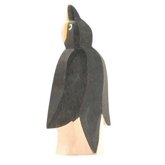 Ostheimer penguin, front