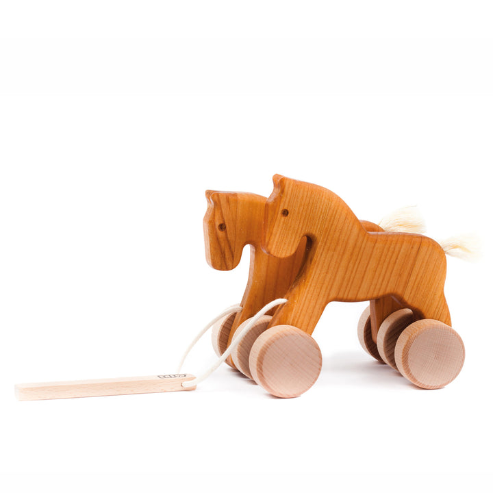 Bajo Jumping Horses