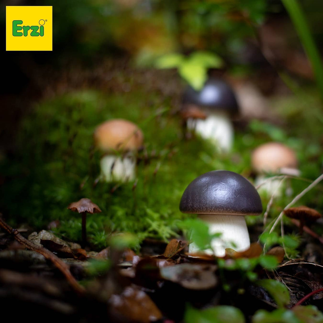 mushroom