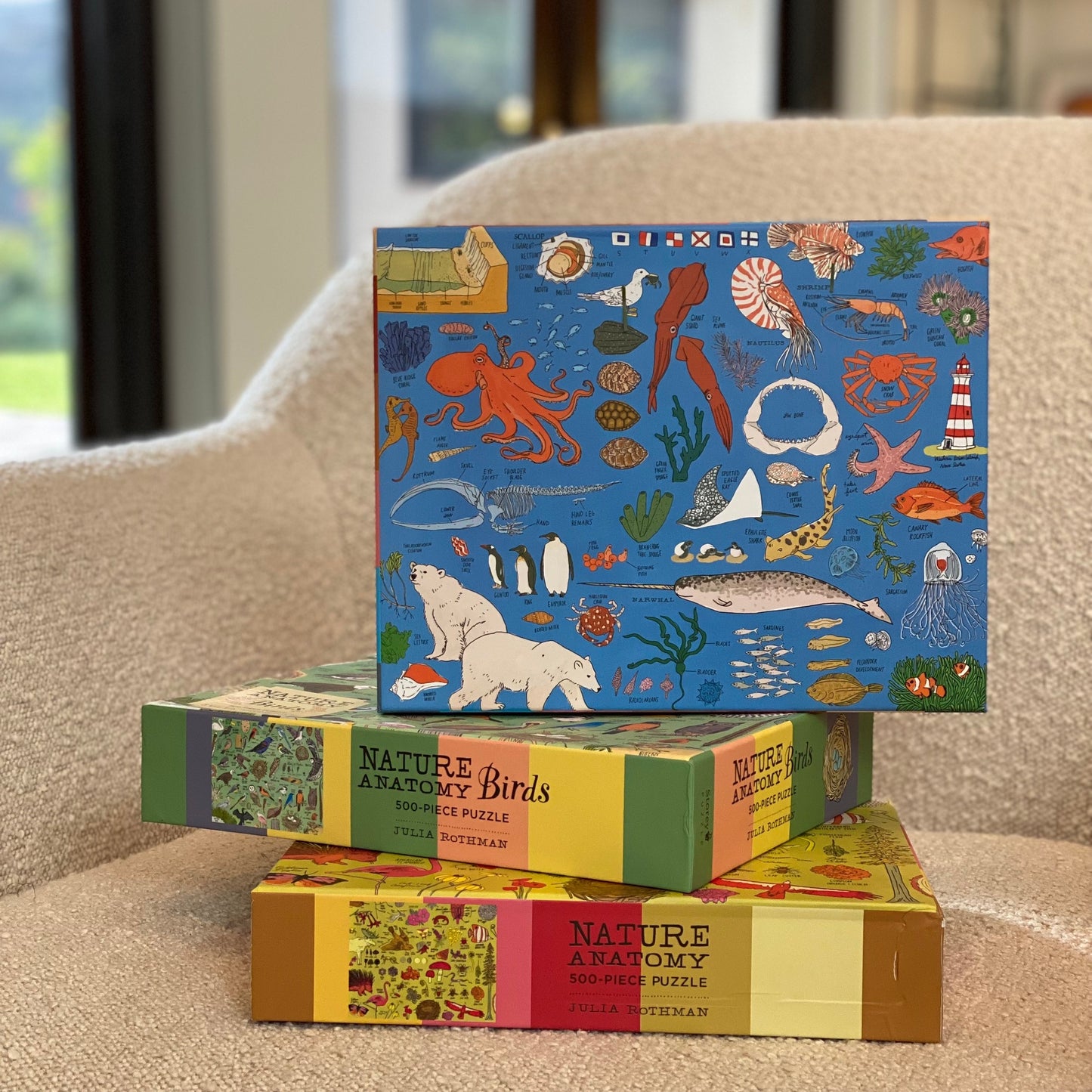 Ocean Anatomy 500-pc puzzle