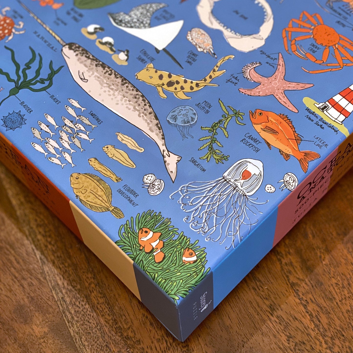 Ocean Anatomy 500-pc puzzle