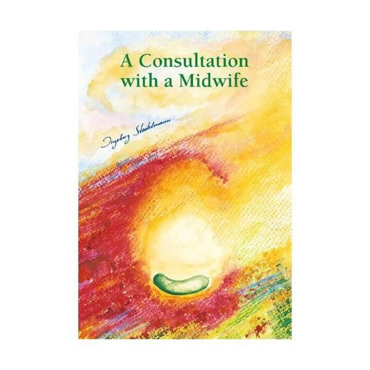 A Consultation with a Midwife