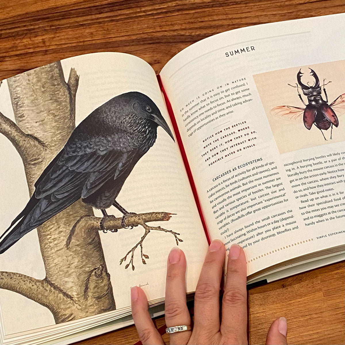 Naturalist's Notebook