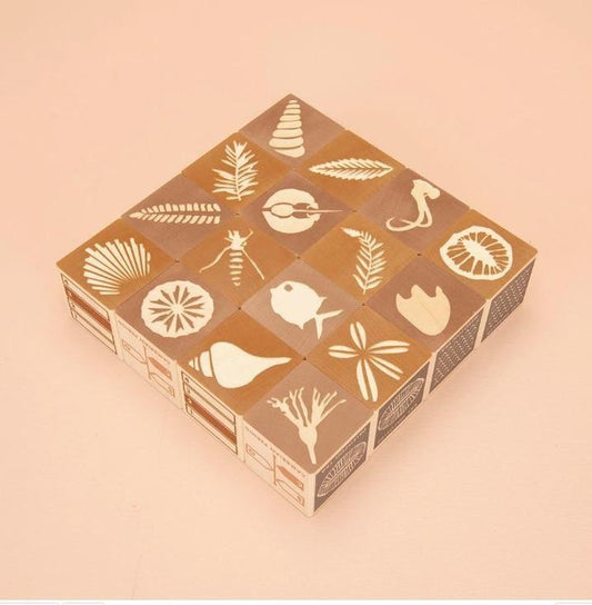 Fossil Blocks
