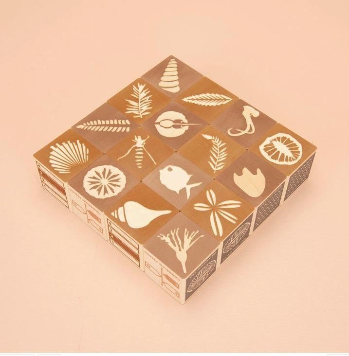Fossil Blocks