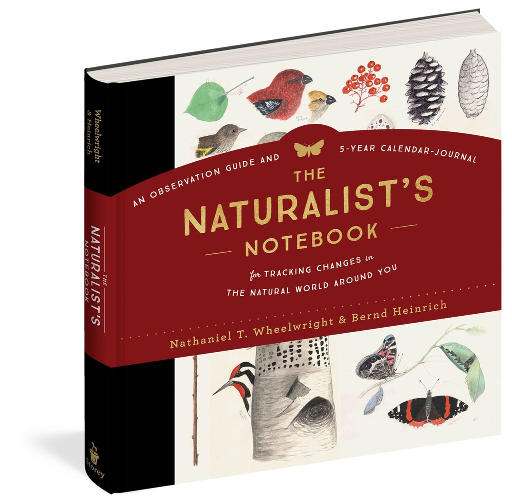 Naturalist's Notebook