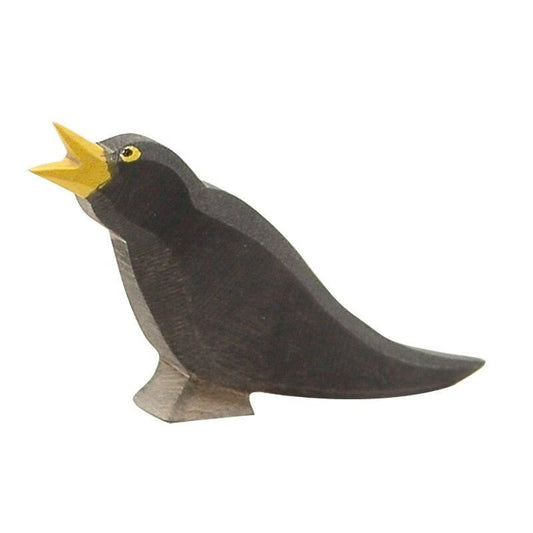 Ostheimer blackbird