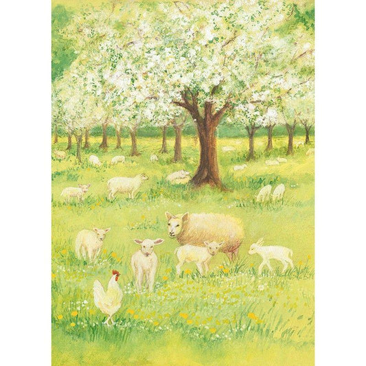 Lambs in the orchard postcard