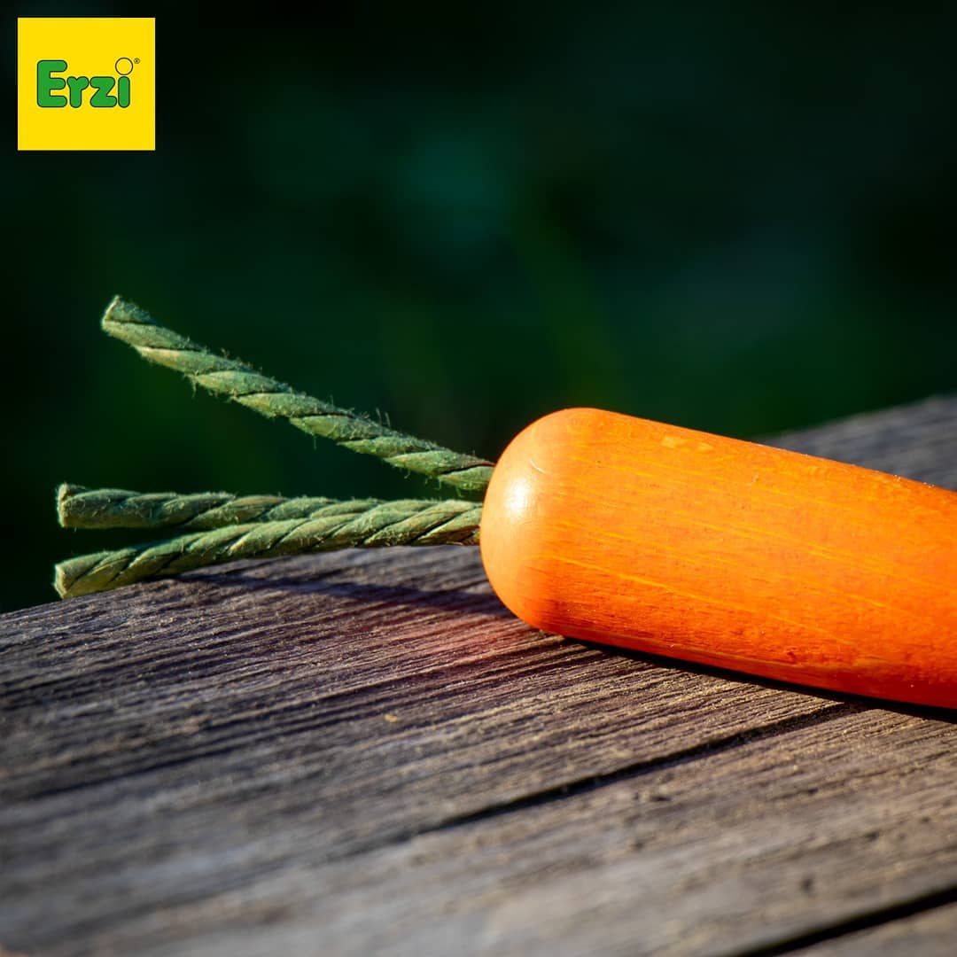 carrot