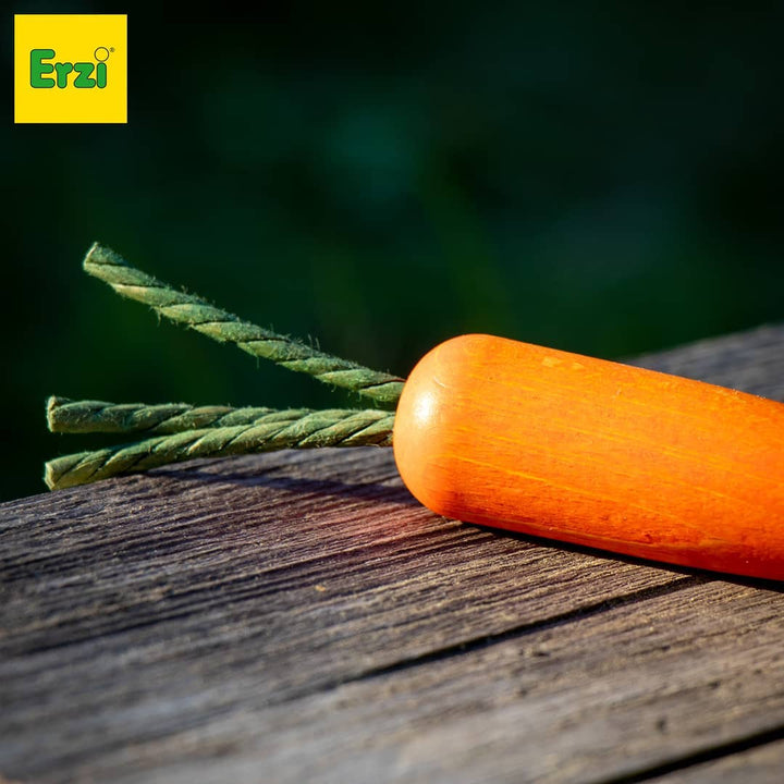 carrot