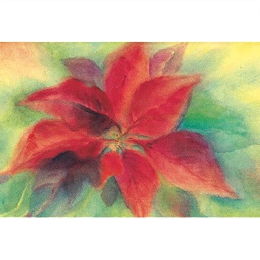 Christmas Flower postcard by M. v. Zeyl