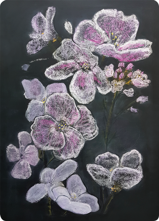 Cuckoo flowers chalk drawing postcard