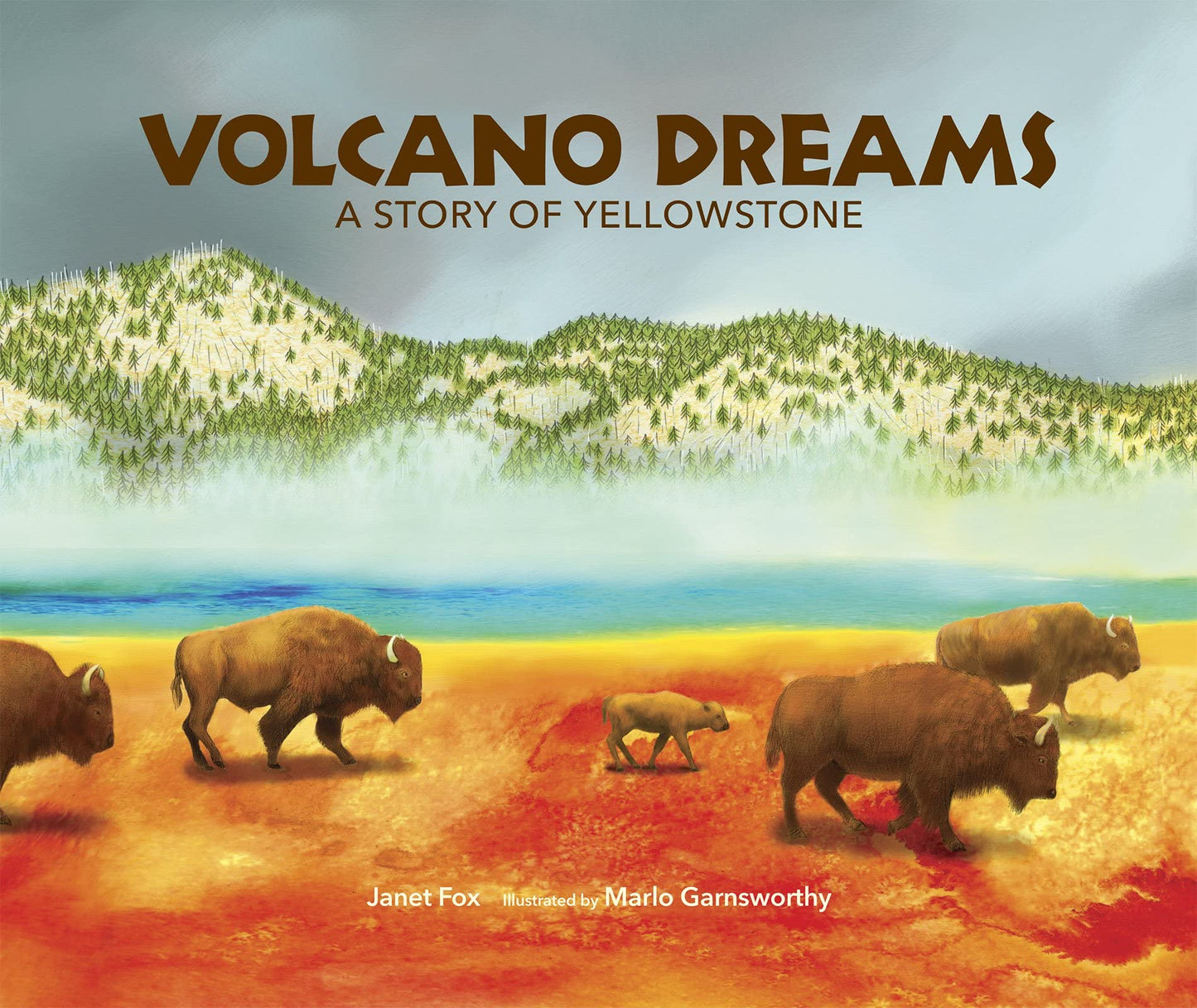 Volcano Dreams