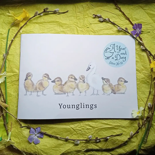 A Year and a Day, Issue 13: Younglings