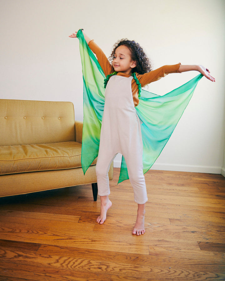 forest fairy silk wings