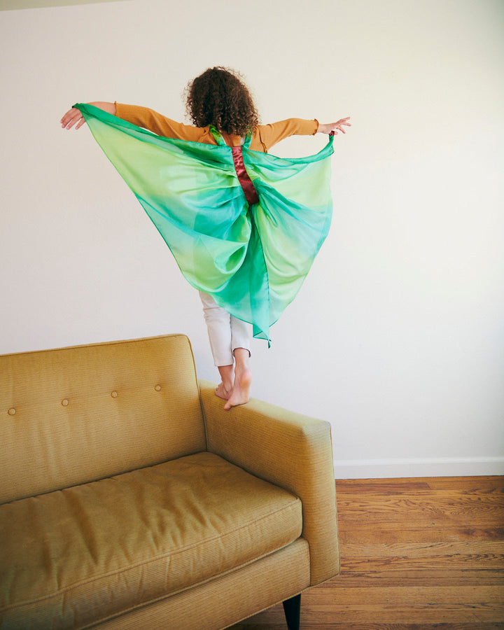 forest fairy silk wings