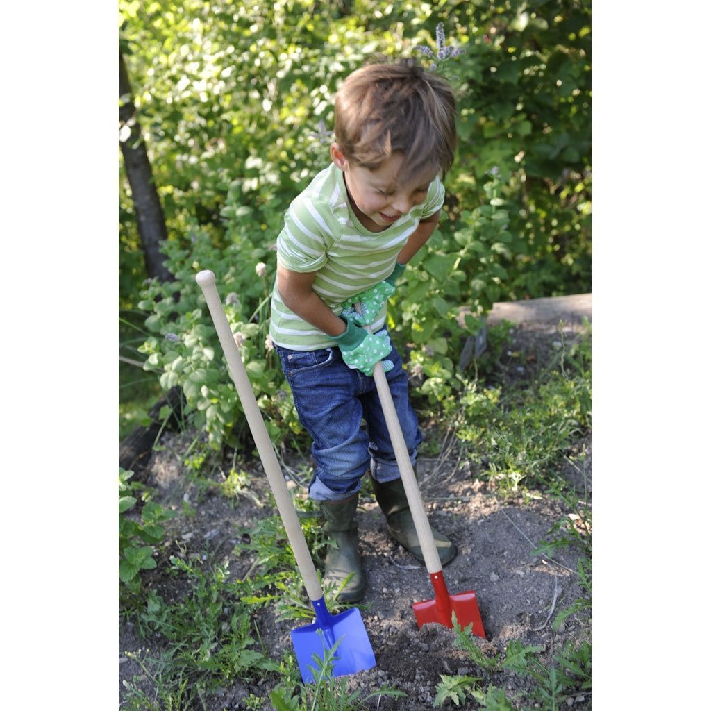 853c68de7253cdd55dc37be410a45c60%2Fallg_garten1__42121.1565249814.1024.1024_4ef5e4fc-00eb-4aee-8bc8-4299b950f217.jpg