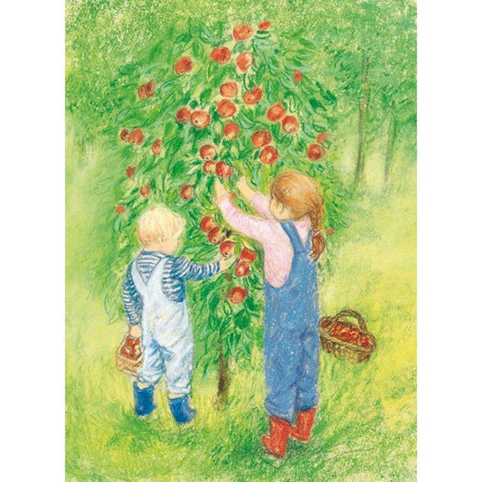 Apple Harvest postcard