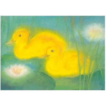 Two Ducks in a Pond postcard