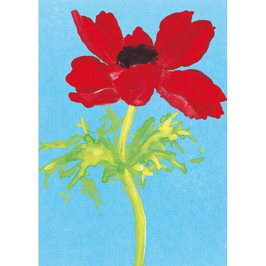 red anemone postcard