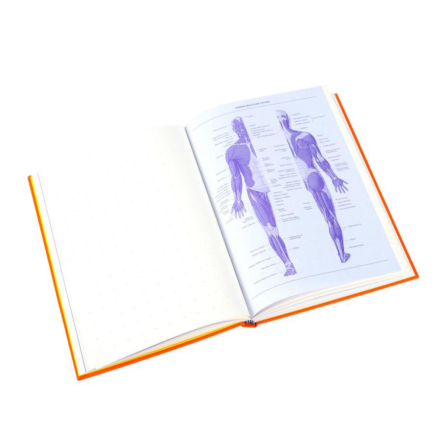 853c68de7253cdd55dc37be410a45c60%2Fgrids-guides-orange-bdetails-bhardcoverbrbsize-b575-x-825-inbrbpages-b160brbpublication-date-b05252021brbrights-bworldbr-princeton-architectural-press-841283_900x.jpg