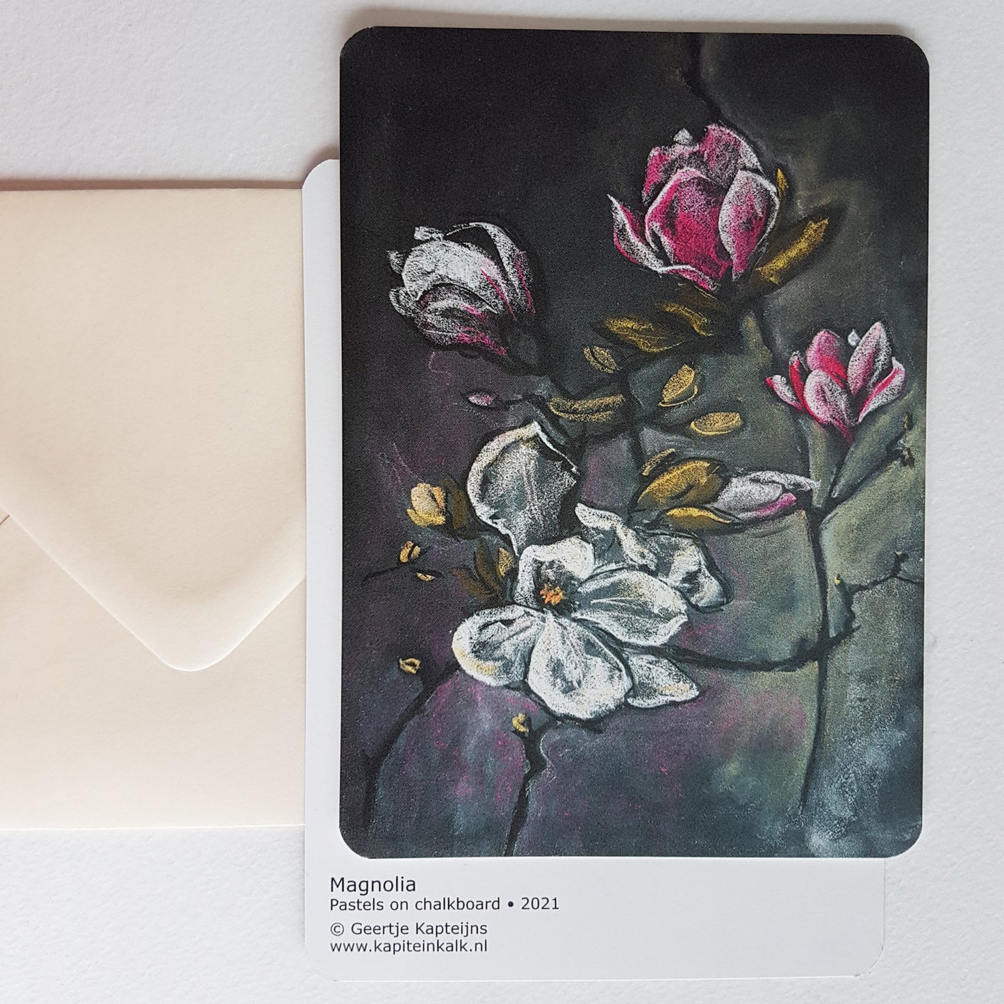 Magnolia chalk drawing postcard