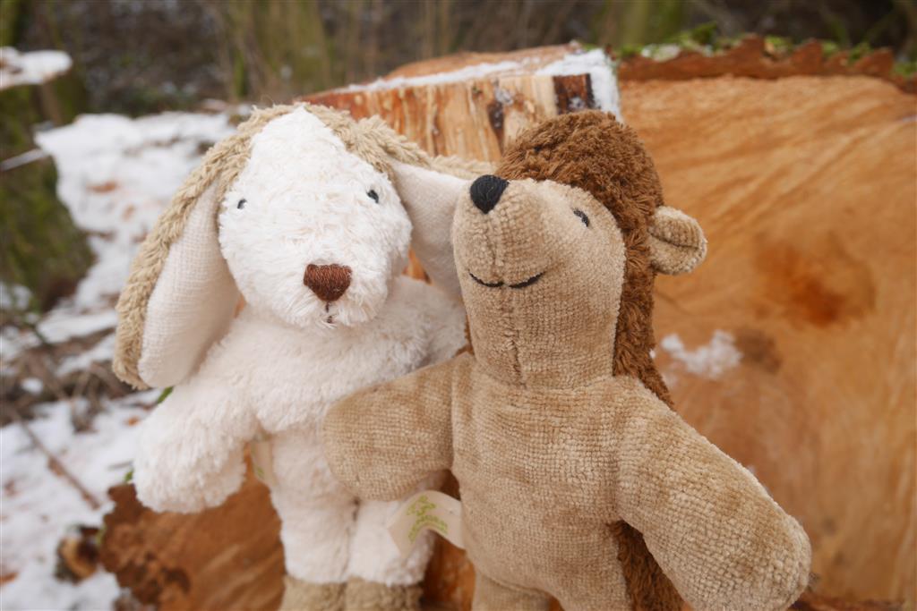 organic cotton &amp; wool l&