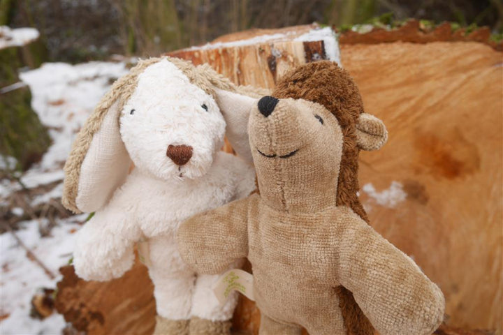 organic cotton &amp; wool l&